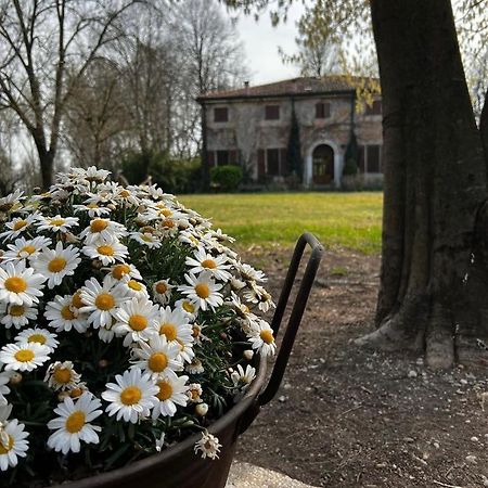 Agriturismo Corte San Girolamo Mântua Exterior foto