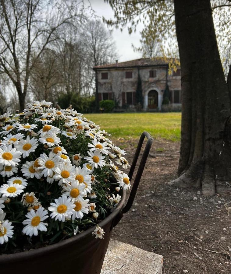 Agriturismo Corte San Girolamo Mântua Exterior foto