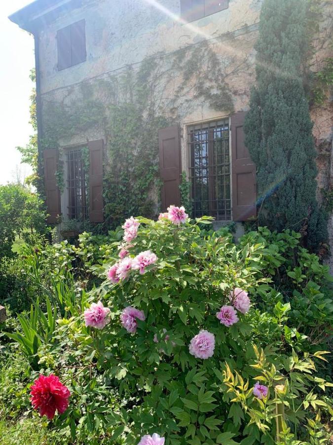 Agriturismo Corte San Girolamo Mântua Exterior foto
