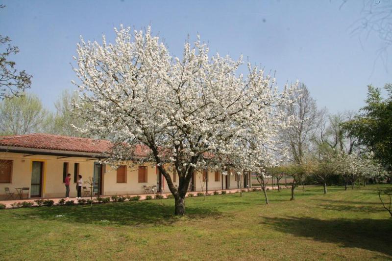 Agriturismo Corte San Girolamo Mântua Exterior foto